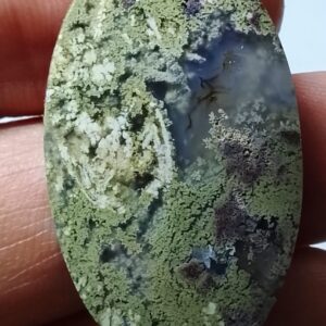 عقيق طحلبي (موسي)